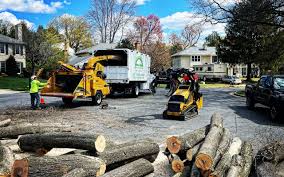 Belleair Beach, FL Tree Removal and Landscaping Services Company